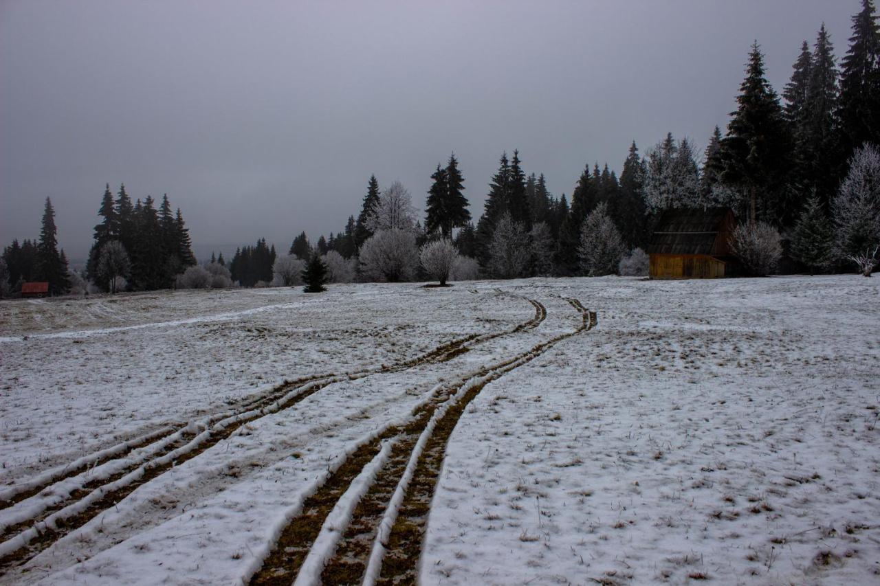 Appartamento Bükkfői vendégház Borzont Esterno foto