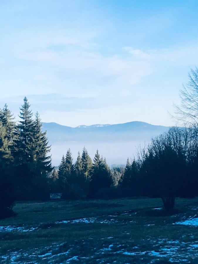 Appartamento Bükkfői vendégház Borzont Esterno foto